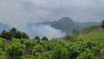 강원도 삼척 산불 1시간여 만에 진화...산림 1,500㎡ 소실 추정 / YTN