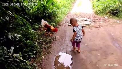 Funny Roosters Chasing Kids Funniest Animals Videos Compilation 2018