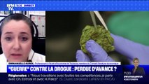 Cette professeure à l'école d'économie de Toulouse estime à 4 millions le nombre de consommateurs de cannabis en France