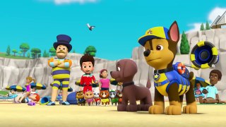 Paw Patrol | International Learn To Swim Day | Rescue Episode! | Paw Patrol Official & Friends