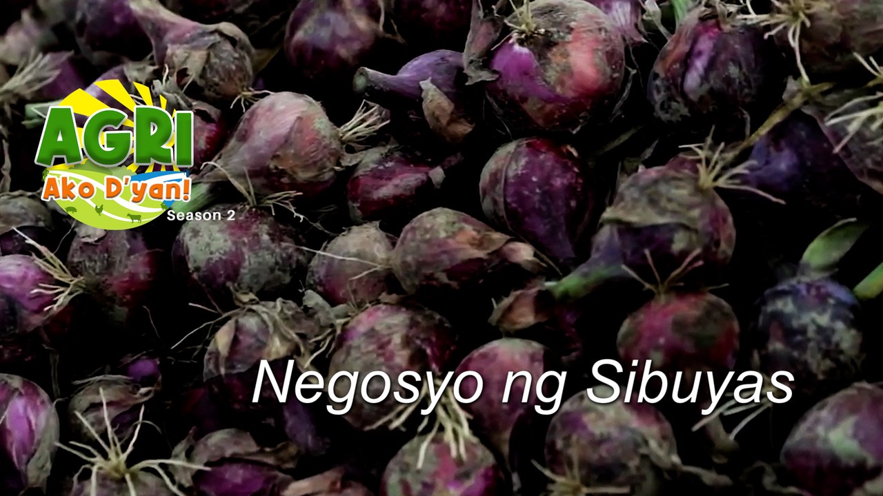 “ONIONS” Ep.3 AGRI Ako D’yan