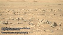 Perseverance Rover Find Stepping Stone Arrangement of Ancient Rock on Mars