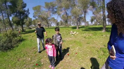 חירבת חנות לבית הבד