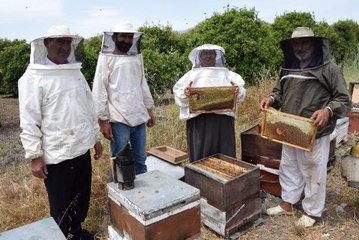 Gezgin arıcılardan 'geçiş üstünlüğü' talebi