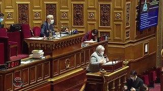 Debat CRTE - Sénat