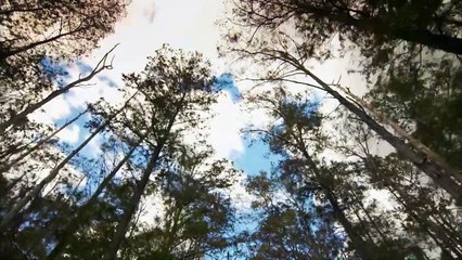 America Unearthed The Secret Swamp People Of Florida (S2, E11)