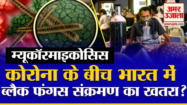 म्यूकॉरमाइकोसिस कोरोना वायरस के बीच ब्लैक फंगस का खतरा| Mucormycosis Black Fungus Infection In India