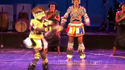 This Zambian performance will make you dance!!