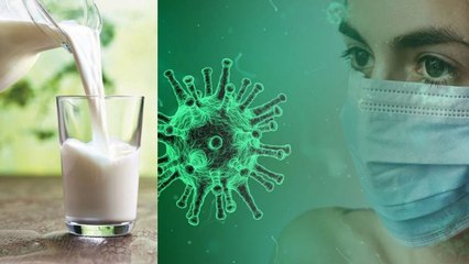 Corona Virus को हराने में क्या सच में Cow Milk होगा कारगर, जानें सच | Boldsky