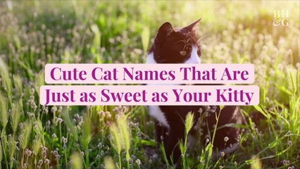 50 Cute Cat Names That Are Just as Adorable as Your Pet