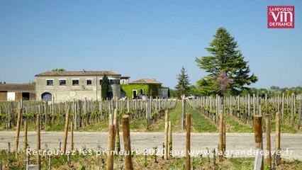 Avec 2020, Saint-Émilion livre un très beau millésime de terroir