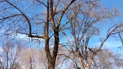 Richard Bourdeau (Le Reflet - Vicky Girard)