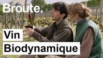 Vous prendrez bien un verre de vin bio dynamique ? - Broute - CANAL+