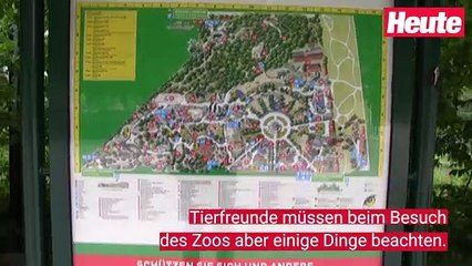 Tiergarten Schönbrunn öffnet wieder für Besucher