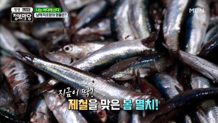 꼭꼭 숨은 멸치를 찾아라!