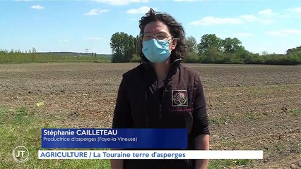 AGRICULTURE / La Touraine terre d'asperges