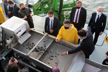 Bakan Pakdemirli Marmara Denizi'nde midye hasat etti