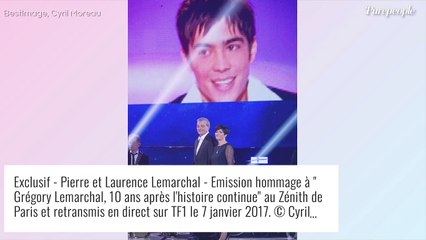 Céline Dion : Elle reçoit un gros tacle de la mère de Grégory Lemarchal !