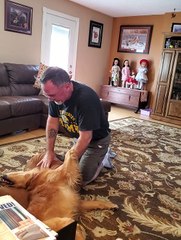 Golden Retriever Helps Roll Up Sleeping Bag