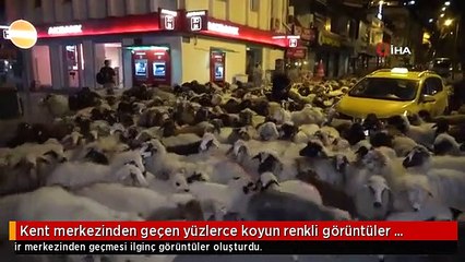 Kent merkezinden geçen yüzlerce koyun renkli görüntüler oluşturdu