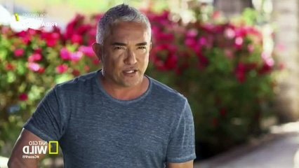 Cesar 911 S04E09