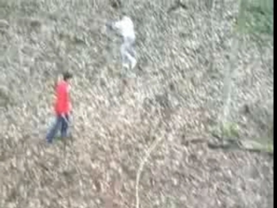 Dylan