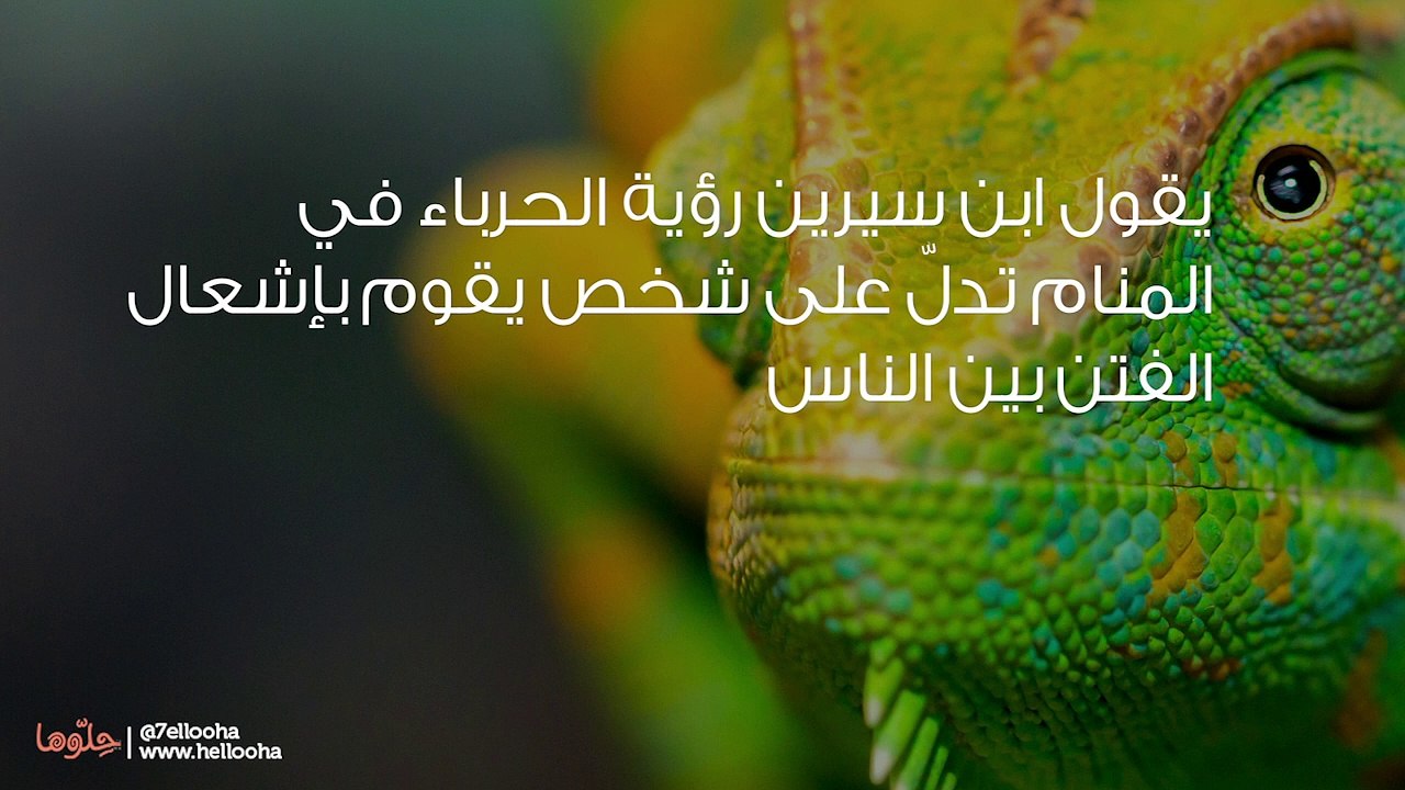 تفسير رؤية الحرباء في المنام ورمز الحرباء في الحلم