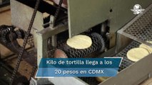 Kilo de tortilla, entre 15 y 20 pesos en la CDMX y Zona Metropolitana: Profeco