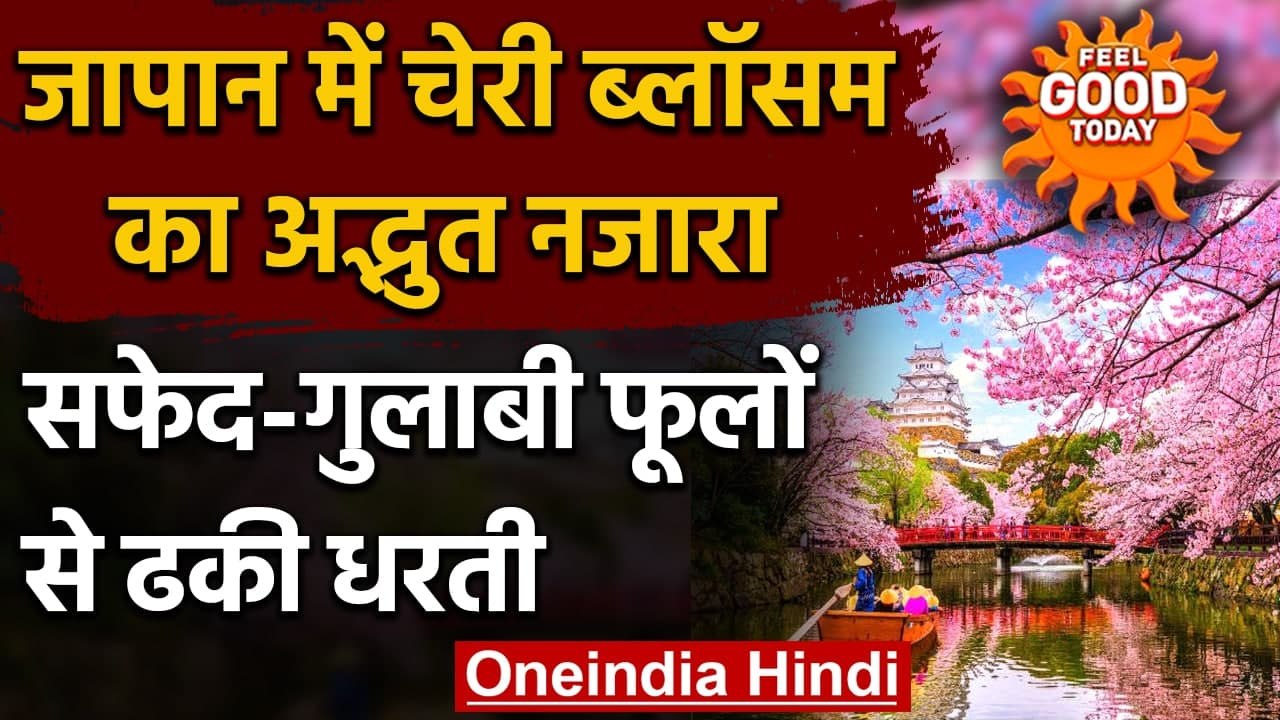 Japan Cherry Blossom: सफेद-गुलाबी फूलों से ढका Japan, चारों तरफ खिले Cherry Blossom | वनइंडिया हिंदी