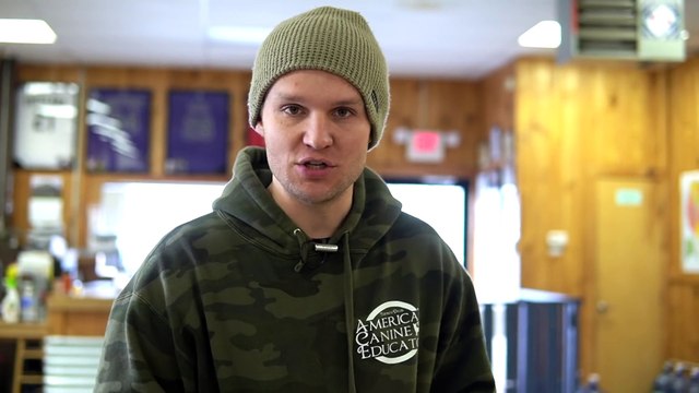 Training your dog to go to their bed ON COMMAND!