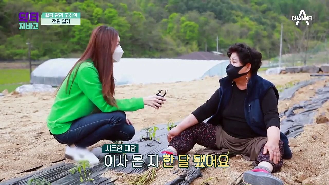 혈당 관리 고수의 전원 일기♬ 당뇨 관리를 위해 귀촌을 했다?