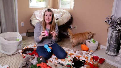 How to clean your dog TOYS! and DOG HACKS