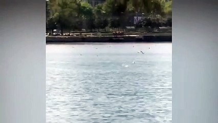 İmamoğlu, ''sesi açıp sonuna kadar izleyin diyerek'' paylaştı!