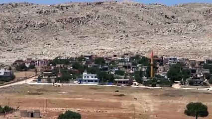 Bin 500 senelik mozaik bulundu