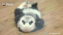 像不像赖床不起的你？