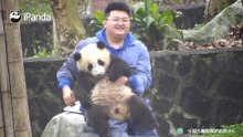 与大熊猫合影的尴尬瞬间