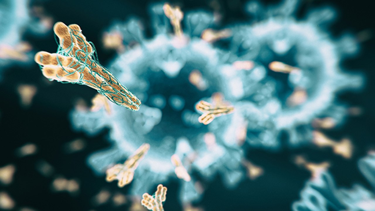 Corona Virus की THIRD WAVE को कैसे टाला जा सकता है | Boldsky