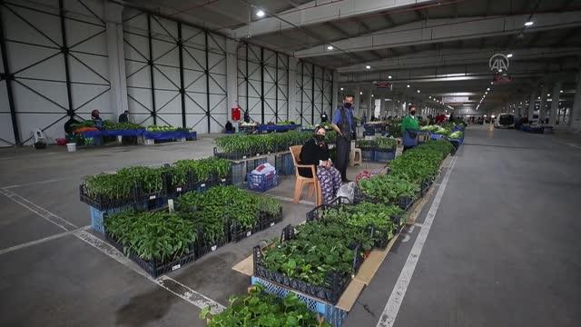 Trakya'da halk pazarları Kovid-19 tedbirlerine uyularak açıldı