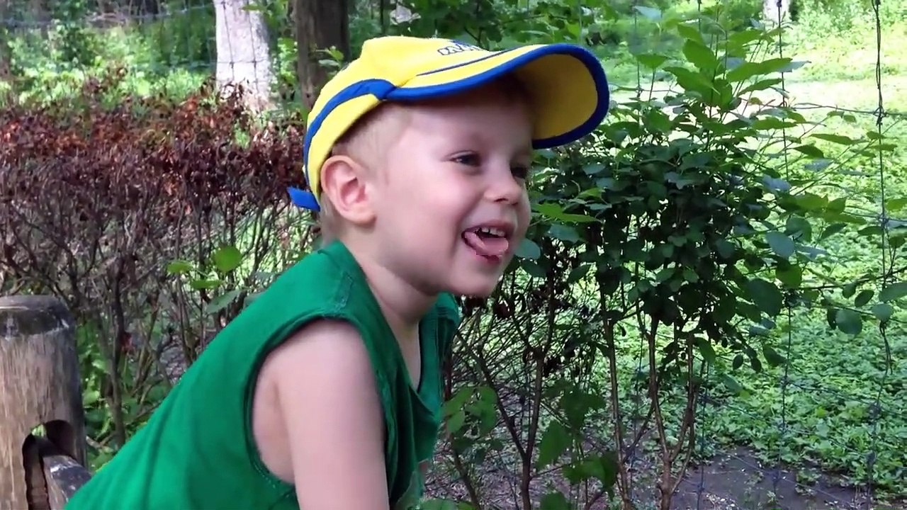 Best Wedding Fails | Funniest Wedding Fails Compilation 2021