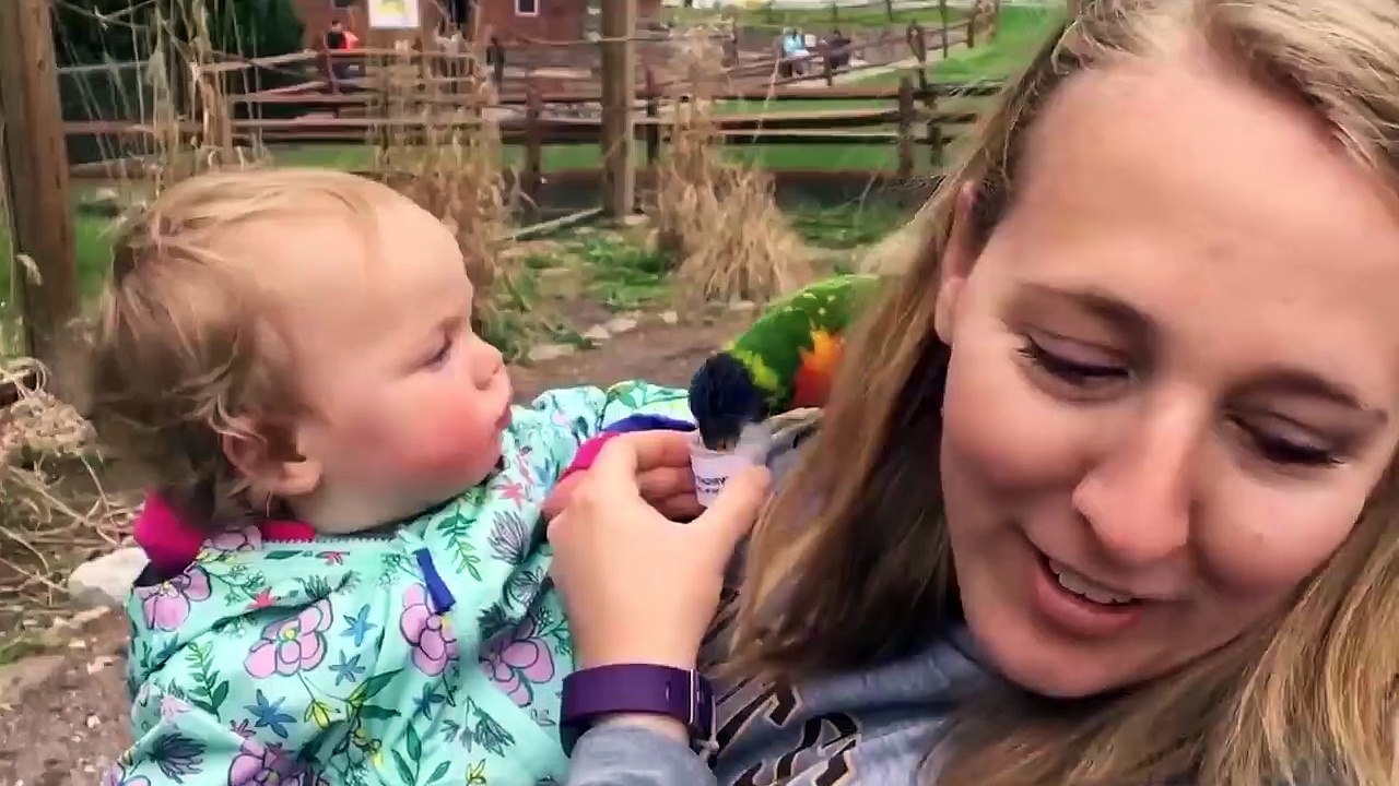 Funny Kenyan Tiktok Videos (Try Not To Laugh Tiktok Video Compilations - Kenyan Memes)