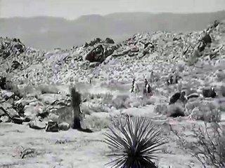 The Lone Ranger | S04 E01 | The Fugitive | Full Episode