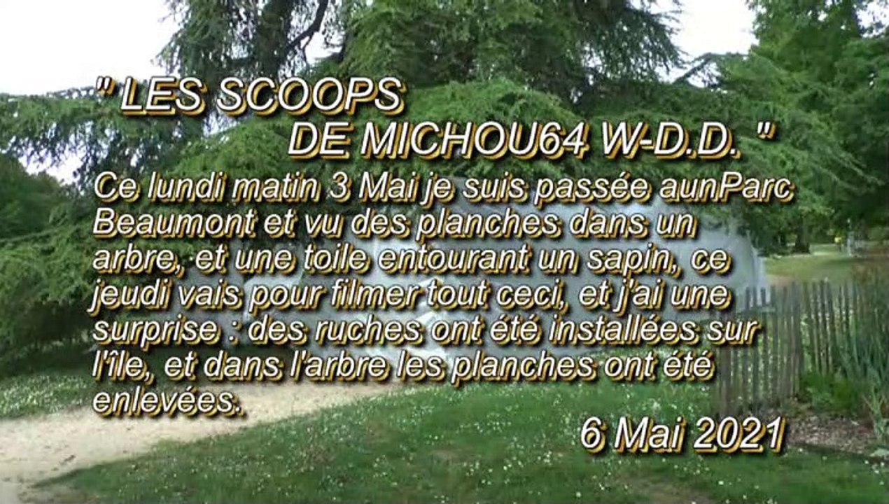 LES SCOOPS DE MICHOU64 W-D.D. - 6 MAI 2021 - PAU - DES RUCHES AU PARC BEAUMONT ET UN SAPIN ENTOURÉ DE TOILES