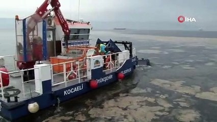 38 günde 100 ton deniz salyası toplandı