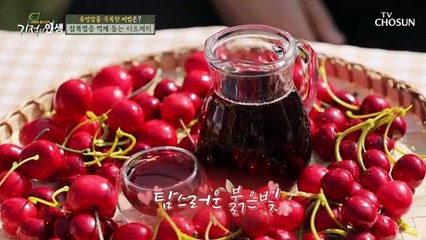 과일계의 다이아몬드 항염 작용에 뛰어난 【타트체리】 TV CHOSUN 20210508 방송