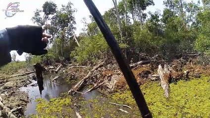 Inilah Surga Mancing Ikan Besar Di Kalimantan Tengah #92 part 2