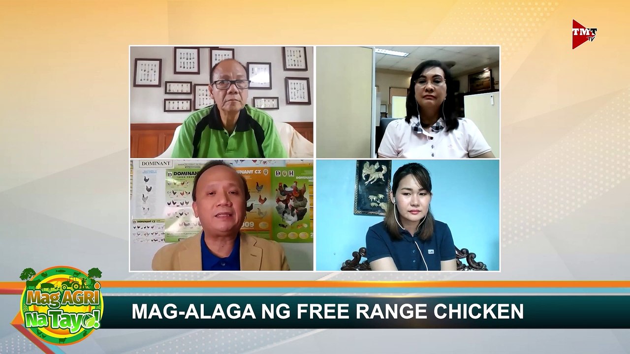"MAG ALAGA NG FREE RANGE" Mag-Agri Na Tayo! Ep.9