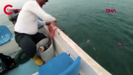 Caretta carettayı 'Tamam gülüm' diyerek kurtardı