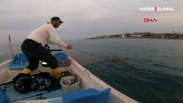Ağa dolanan Caretta Caretta'nın yardımına balıkçılar koştu