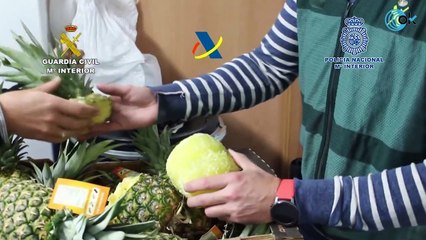 Detienen a una banda que traficaba con cocaína escondida en piñas