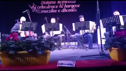 Accordion Concert